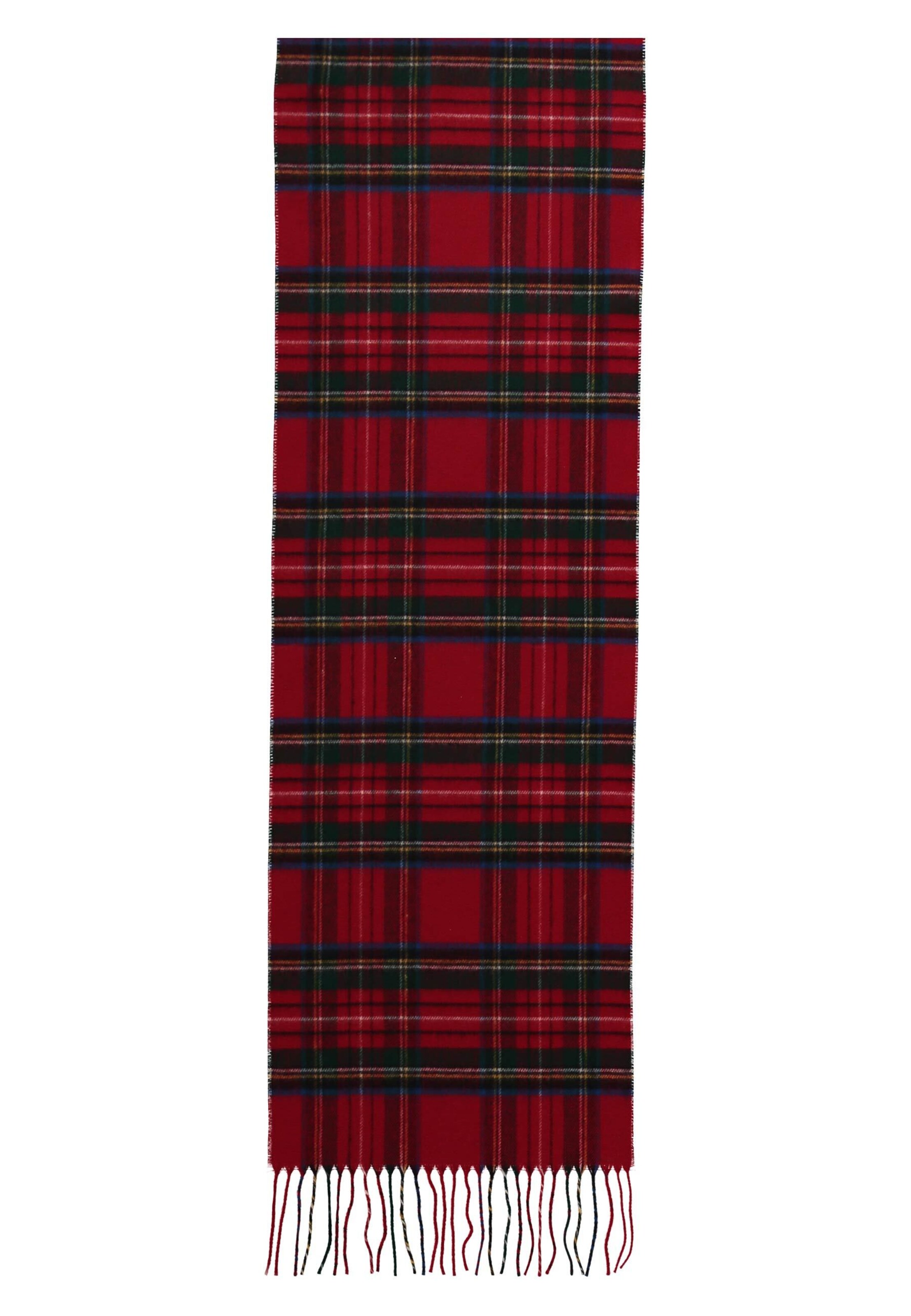 Giorgio Rimaldi Scarf 'Cashmink' in Red
