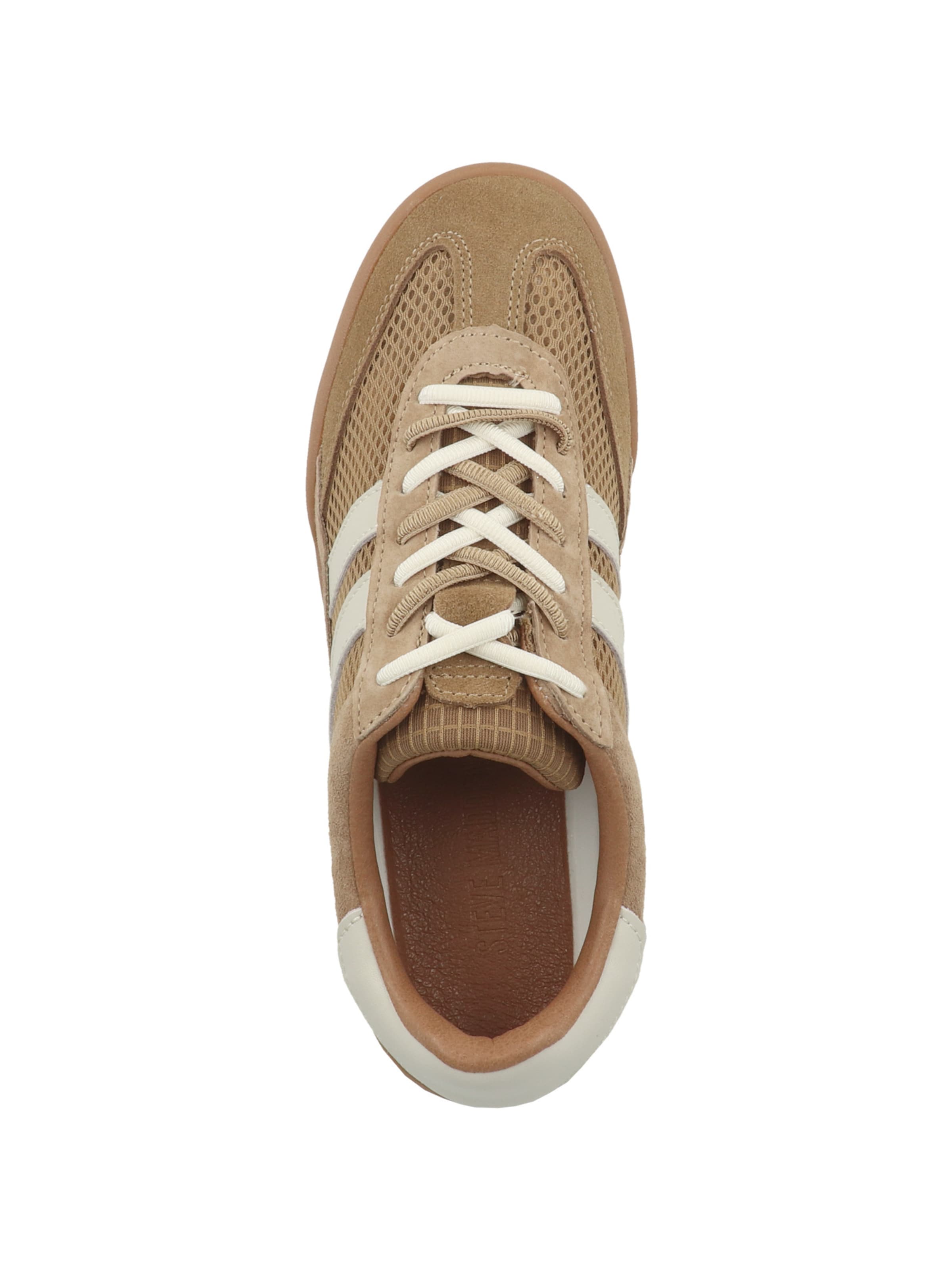 STEVE MADDEN - Sapatilhas baixas ' Verdict ' em castanho
