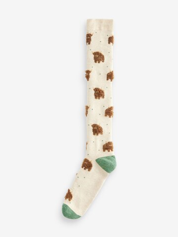 Next - Calcetines en beige