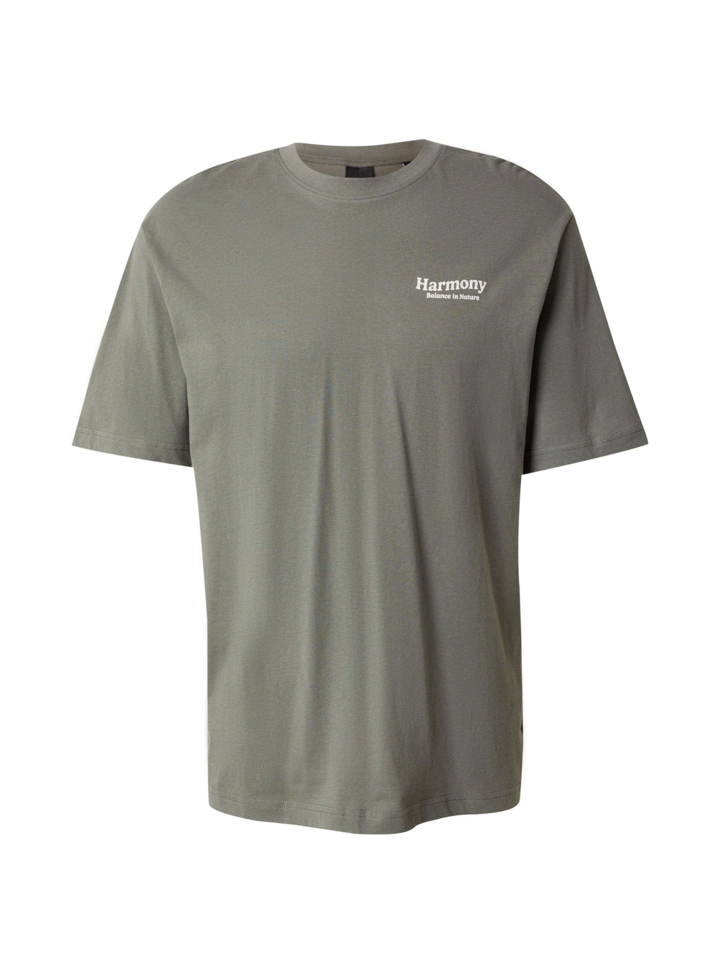 pelēks Only & Sons T-Krekls 'ONSKEANE': no priekšpuses