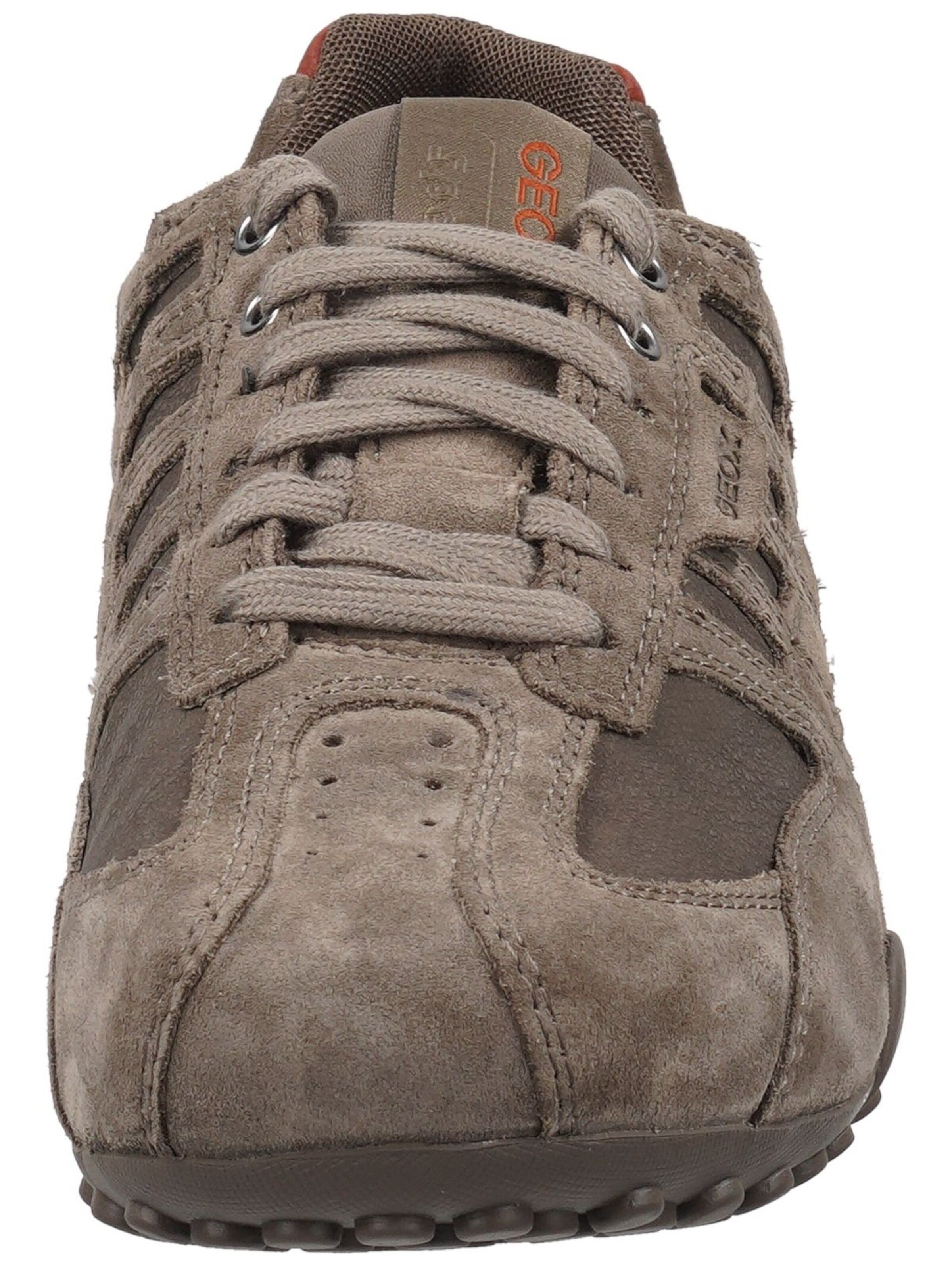 Sneaker bassa di GEOX in grigio