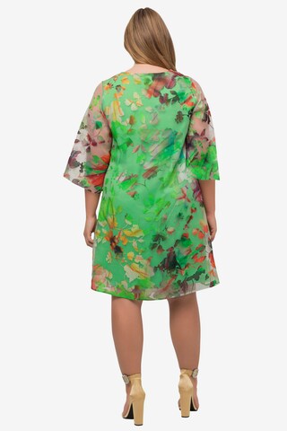 Robe de cocktail Ulla Popken en vert