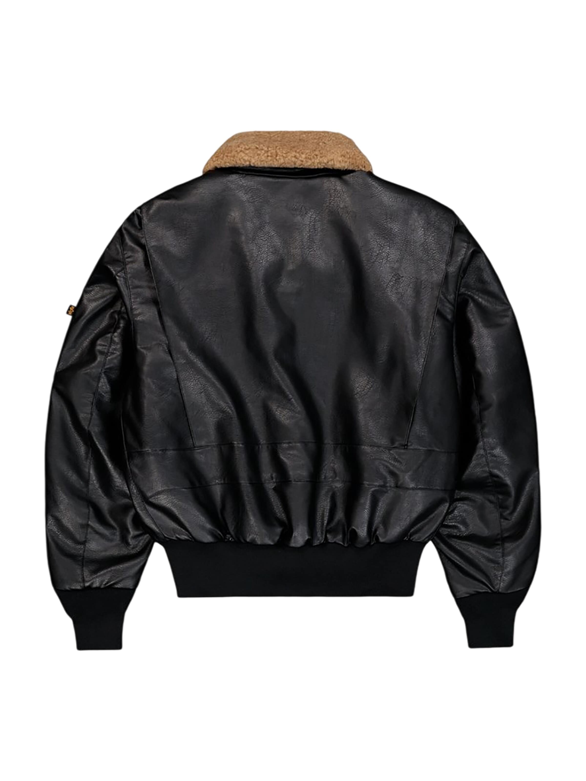 ALPHA INDUSTRIES Outdoorjacke 'G1 Devils Brigade FL'‌ in Schwarz