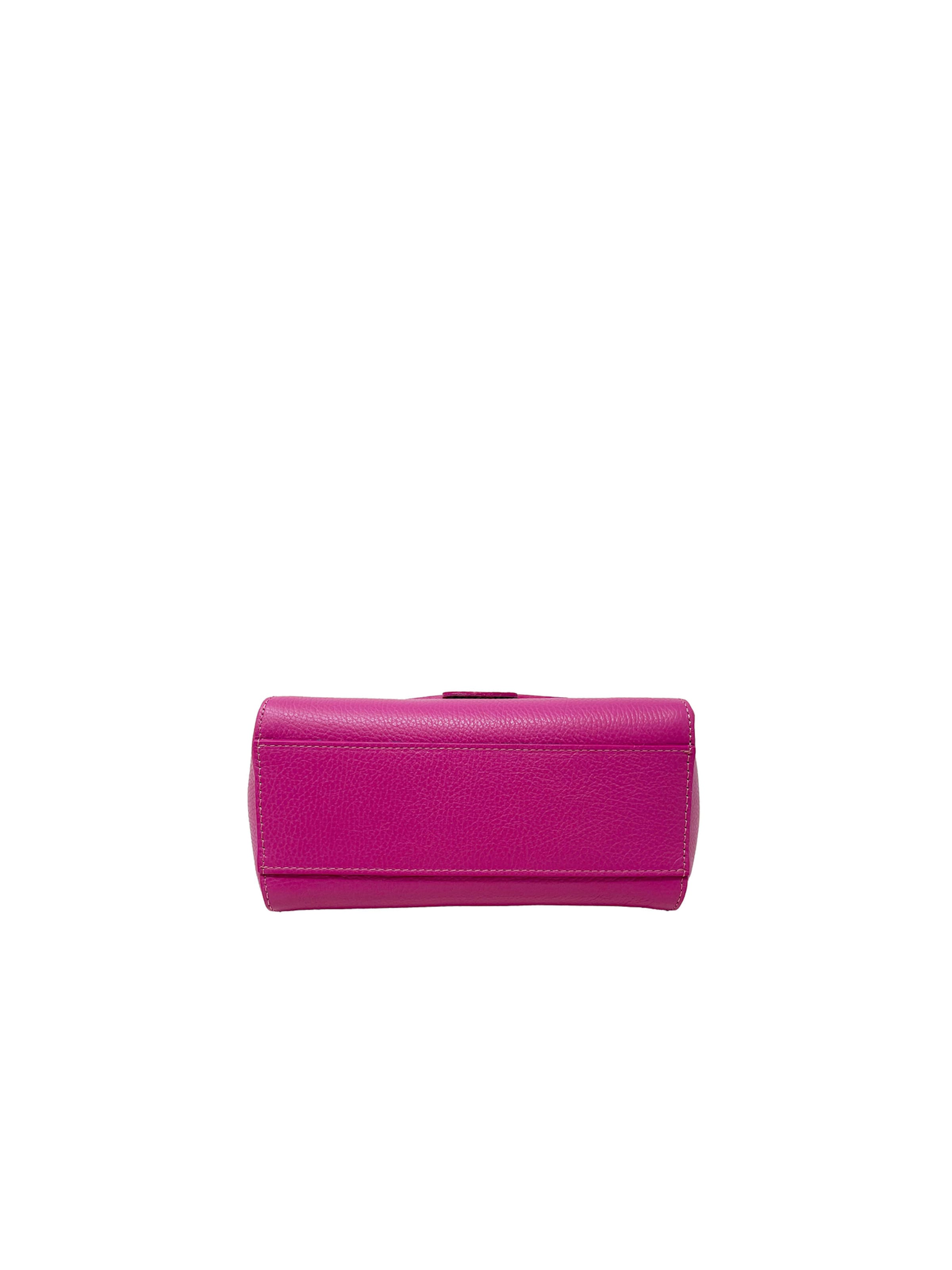 CHICCA BORSE Handbag in Purple