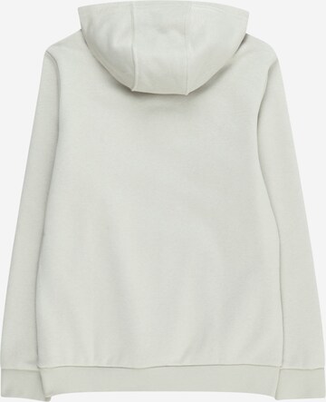 ADIDAS ORIGINALSSweater majica 'Adicolor' - siva boja