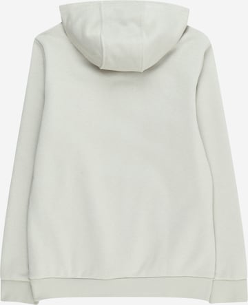 ADIDAS ORIGINALS Sweatshirt 'Adicolor' in Grau