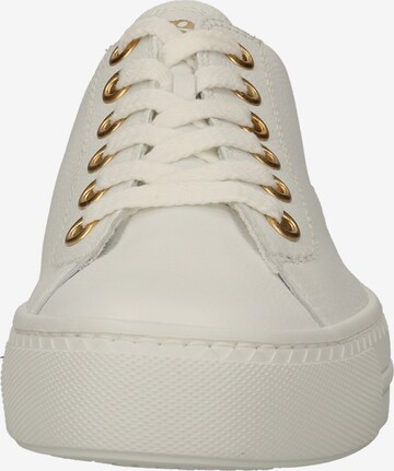 Paul Green Sneakers in White