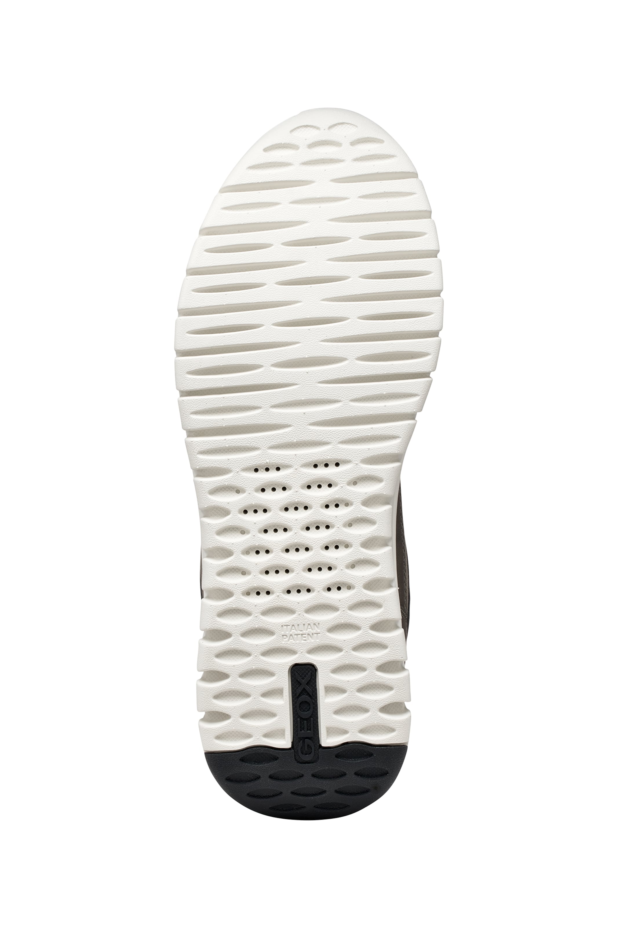 GEOX Sneaker in Grün