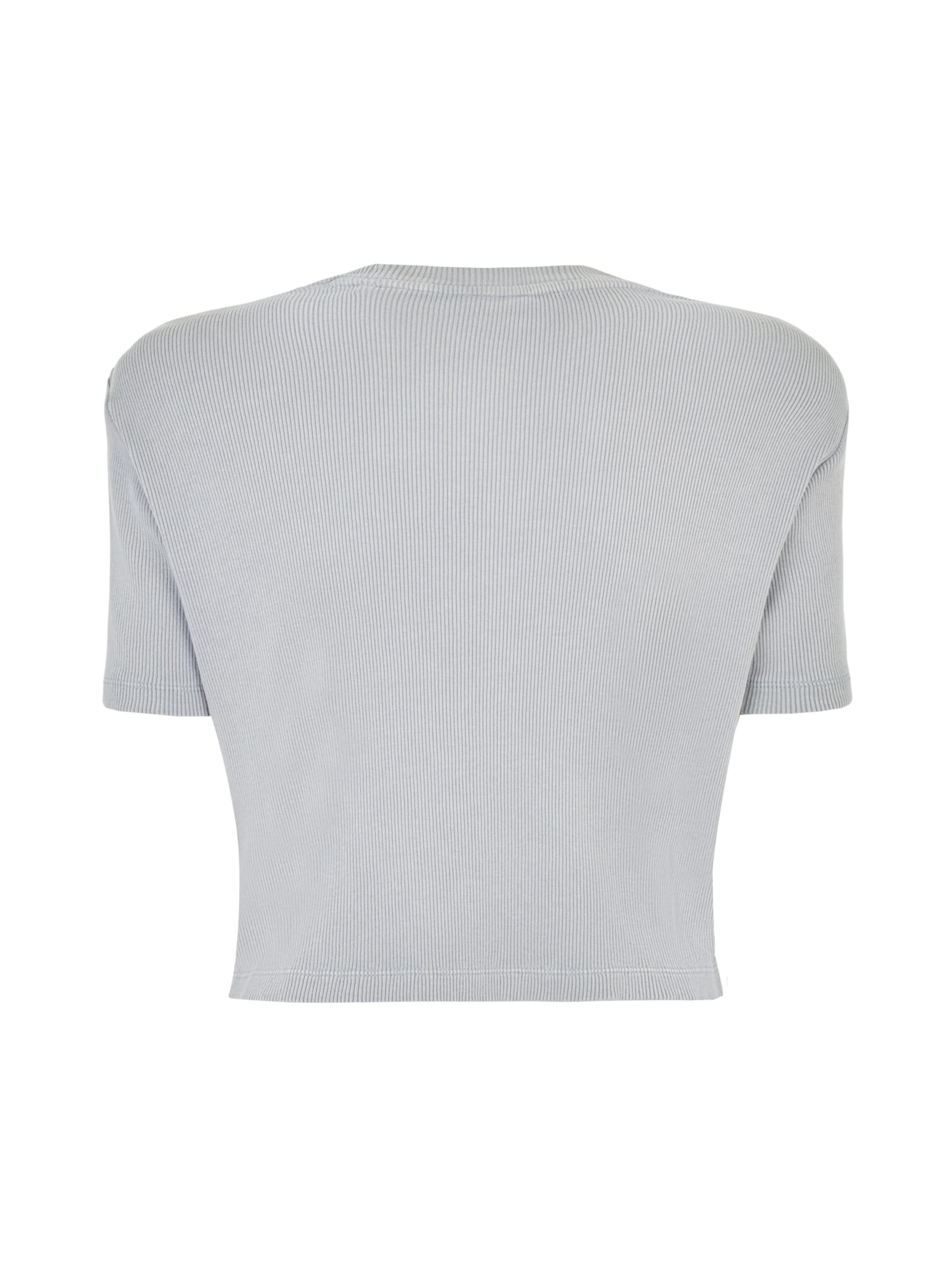 DICKIES Μπλουζάκι 'PLENTYWOOD TEE SS W' σε γκρι