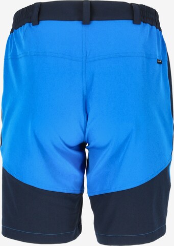 Whistler Regular Workout Pants 'AVIAN' in Blue