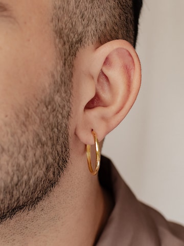 Hey Happiness Oorbel 'Mid Chunky' in Goud