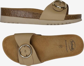 SCHOLL Sandalen 37 in Beige: Vorderseite