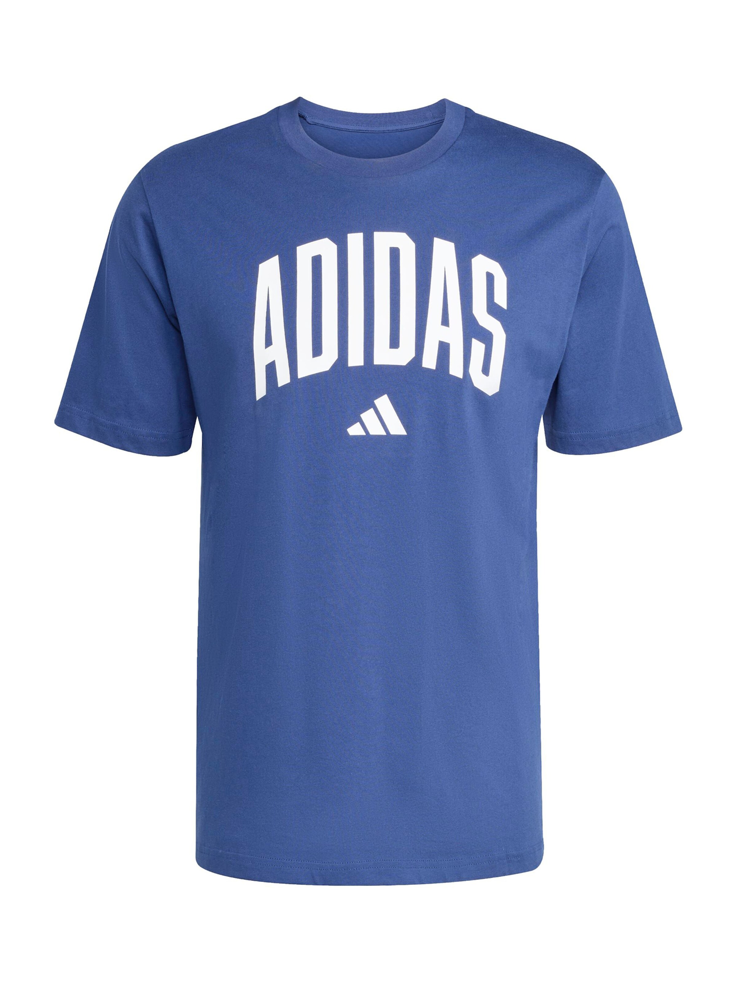 ADIDAS SPORTSWEAR - Camiseta funcional 'Collegiate Lineage' en azul: frente