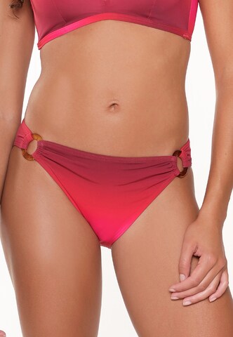 LingaDore Bikinibroek in Rood: voorkant