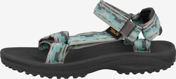 TEVA Sandals 'Winsted' in Grey