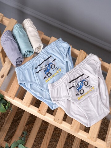 LOREZA - Calzoncillo 'Jungen Slips Rallye' en Mezcla de colores