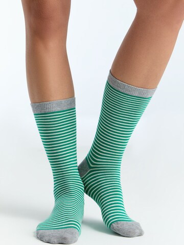 Albero Natur Socks 'Classic' in Green