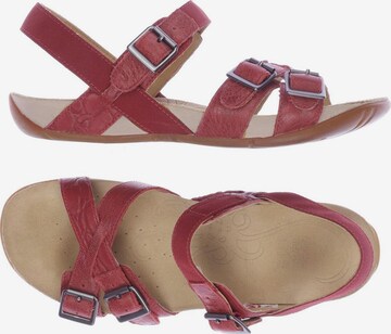 CLARKS Sandalen 36 in Rot: predná strana