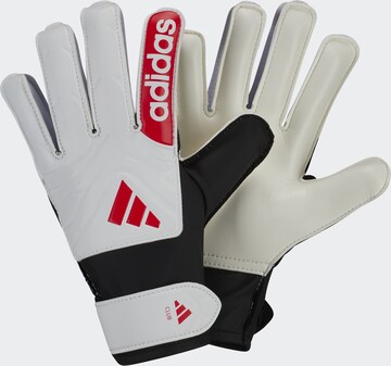 ADIDAS PERFORMANCE Sports gloves in White: front