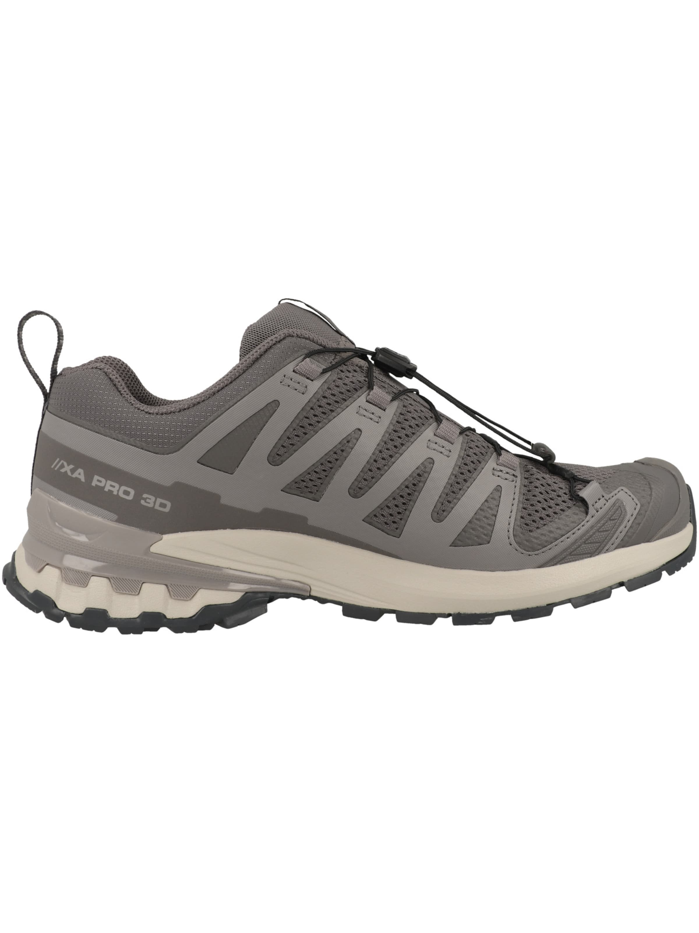 SALOMON Laufschuh 'XA Pro 3D V9' in Grau