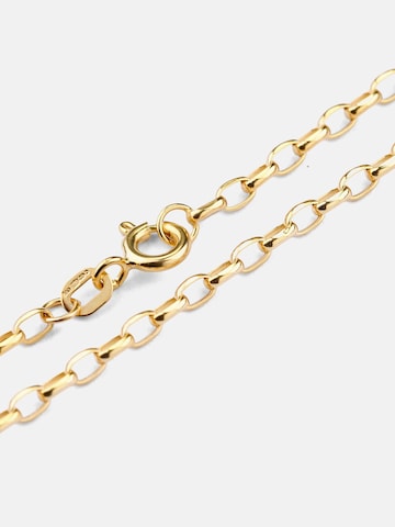 Vanlere Kette‌‌‌‌‌‌‌‌‌ in Gold