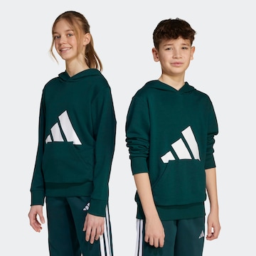 žalia ADIDAS SPORTSWEAR Sportinio tipo megztinis 'Essentials': priekis