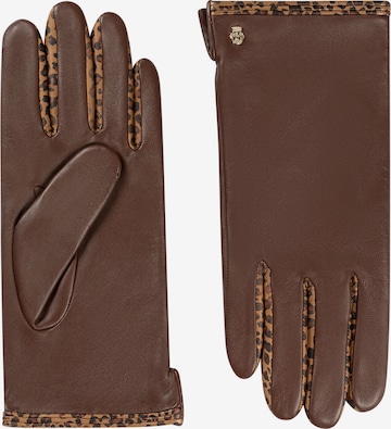 Roeckl Vingerhandschoenen 'BERLIN' in Bruin: voorkant
