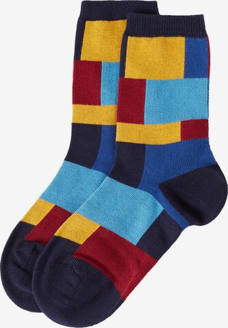 CALZEDONIA Socks in Mixed colors: front