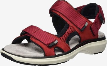 CLARKS Sandals in Red: front