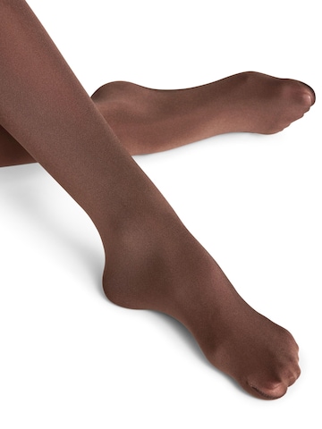 FALKE Strumpfhose 'Seidenglatt'‌‌‌‌‌‌‌‌‌ in Braun
