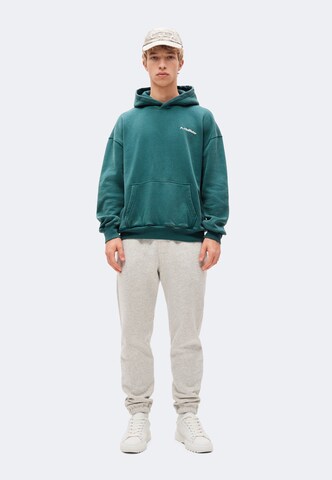 HOLLISTER Sweatshirt in Grün