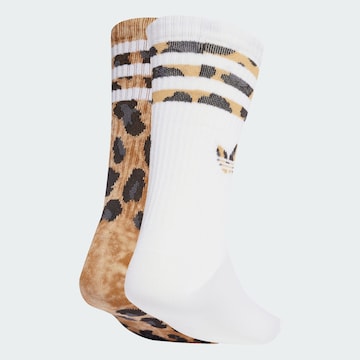 ADIDAS ORIGINALS Κάλτσες σε καφέ