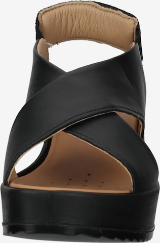 IGI&CO Sandals in Black