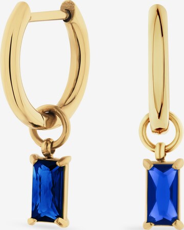 FAVS Earrings in Blue