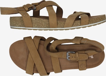 TIMBERLAND Sandalen 41,5 in Braun: Vorderseite