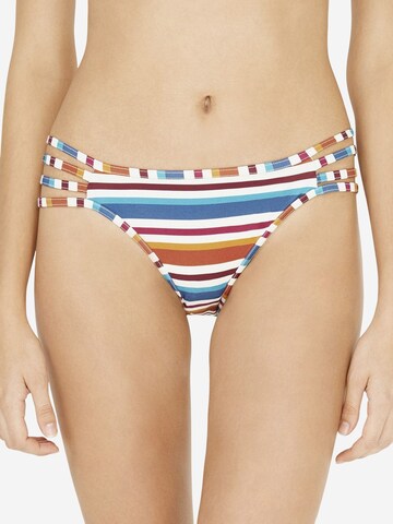 Slip bikini 'Bikinihosen' di Penti in colori misti: frontale