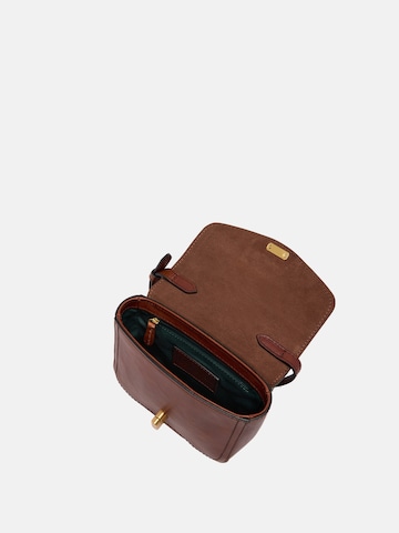 The Bridge Crossbody Bag in Brown