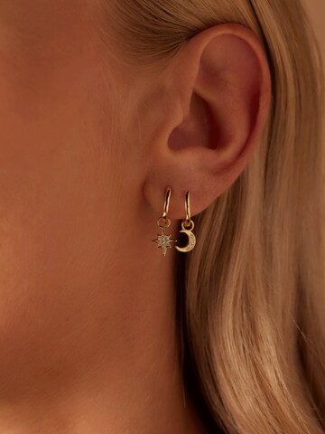 Boucles d'oreilles Lucardi en or : devant