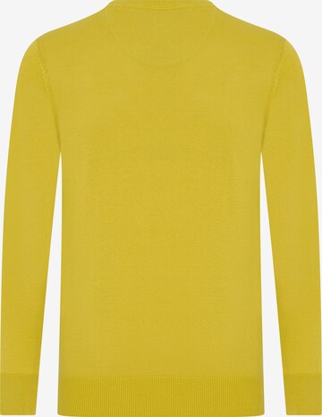 DENIM CULTURE Sweater 'Simon' in Yellow