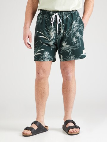 Loosefit Pantaloni 'Crazy Fresh' di Iriedaily in verde: frontale