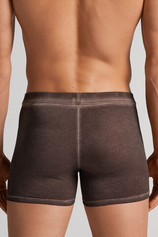 INTIMISSIMI Boxershorts in Braun
