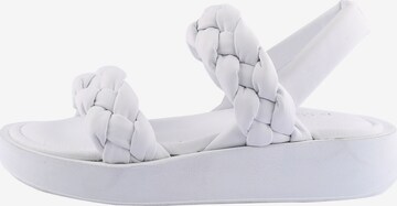 D.MoRo Shoes Sandals in White: front