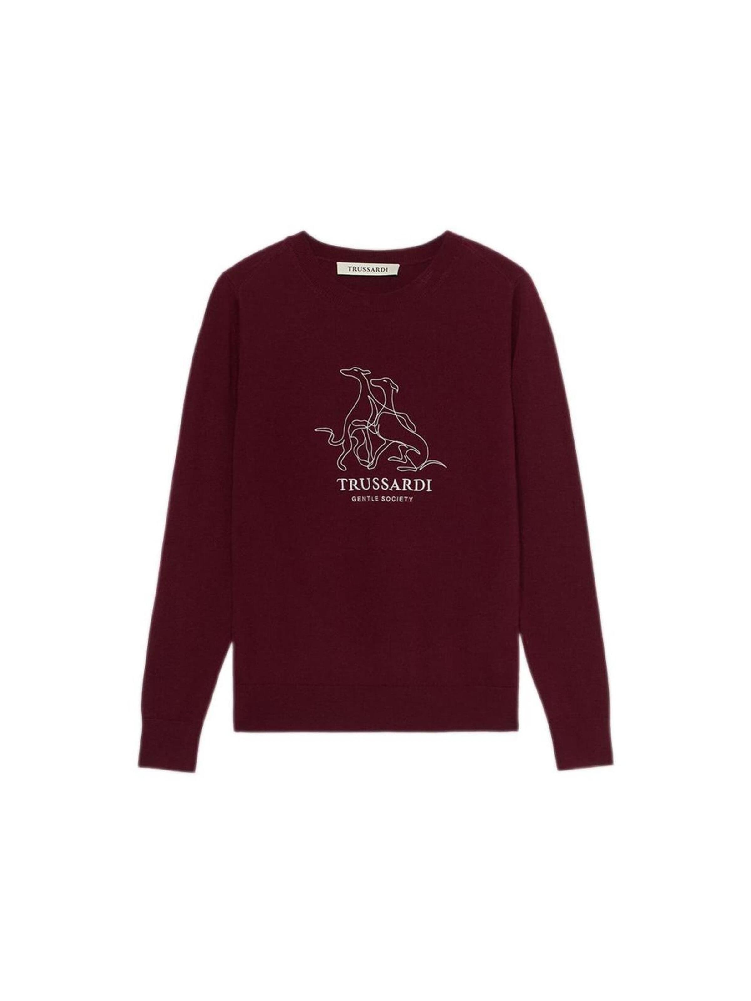 Trussardi Trui in Bruin: voorkant