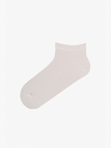 Penti Sukapöiad 'PENTI Leopard Everyday Paar Sneaker-Socken', värv segavärvid