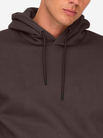 Only & Sons Sweatshirt 'Ceres' in Brown