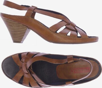 PIKOLINOS Sandals & High-Heeled Sandals in 41 in Brown: front