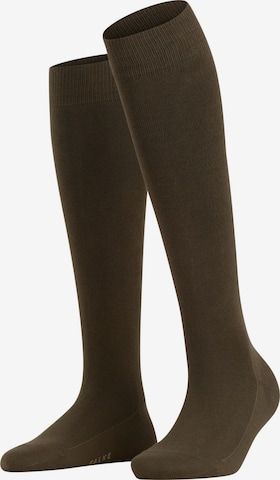 FALKE Knee High Socks 'Family' in Green: front