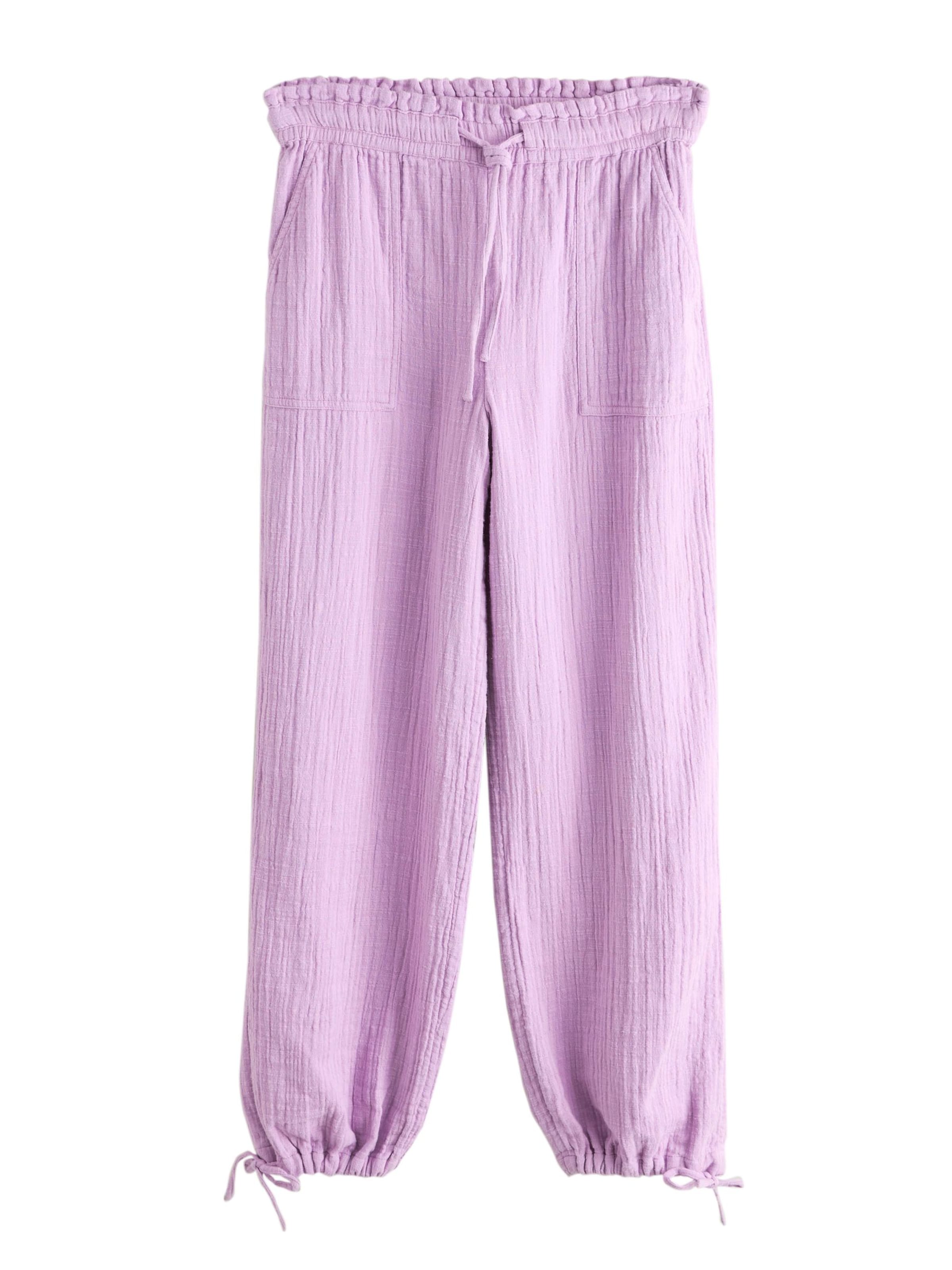Next Trousers in Purple: front
