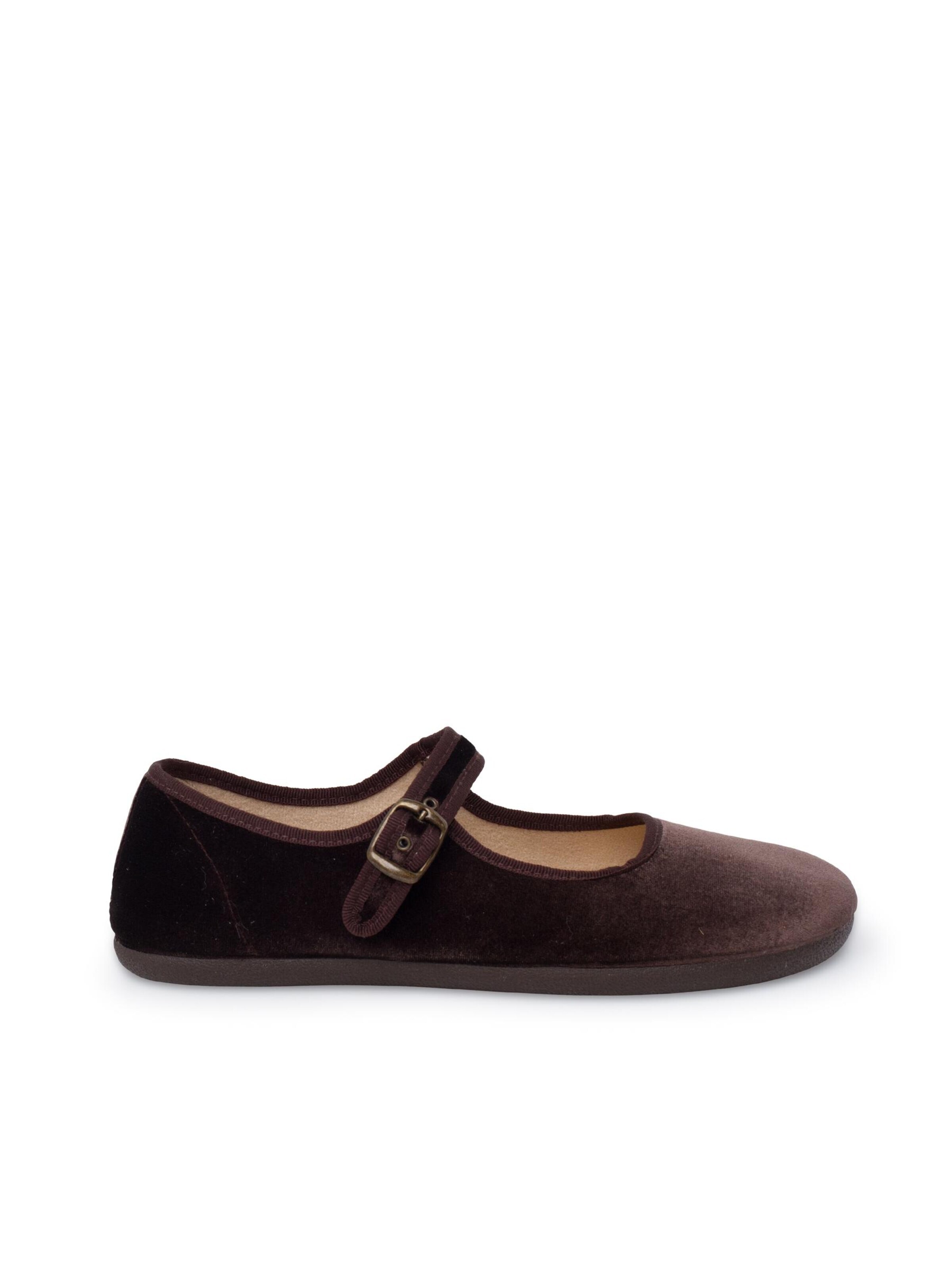 Pisamonas Polobotky – hnědá