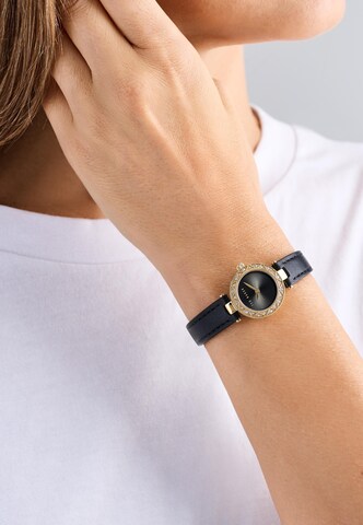 Ted Baker Uhr 'JOLYYE ' in Gold: Vorderseite